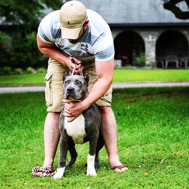 Dog Featured Image