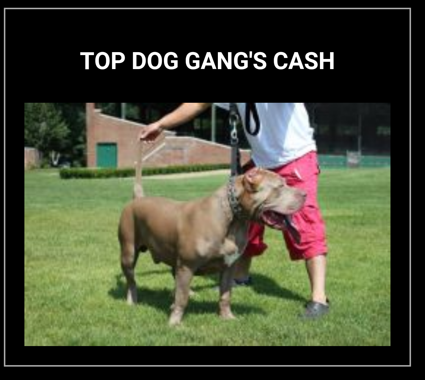 Dog Featured Image