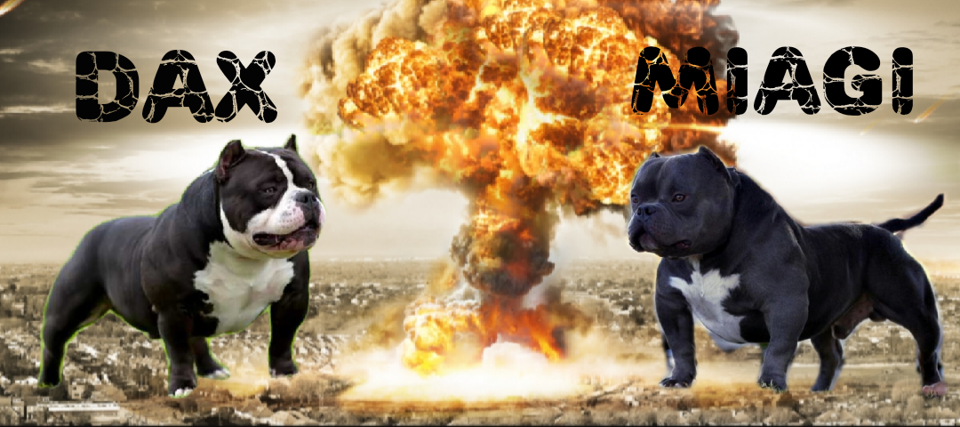 Dog Featured Image