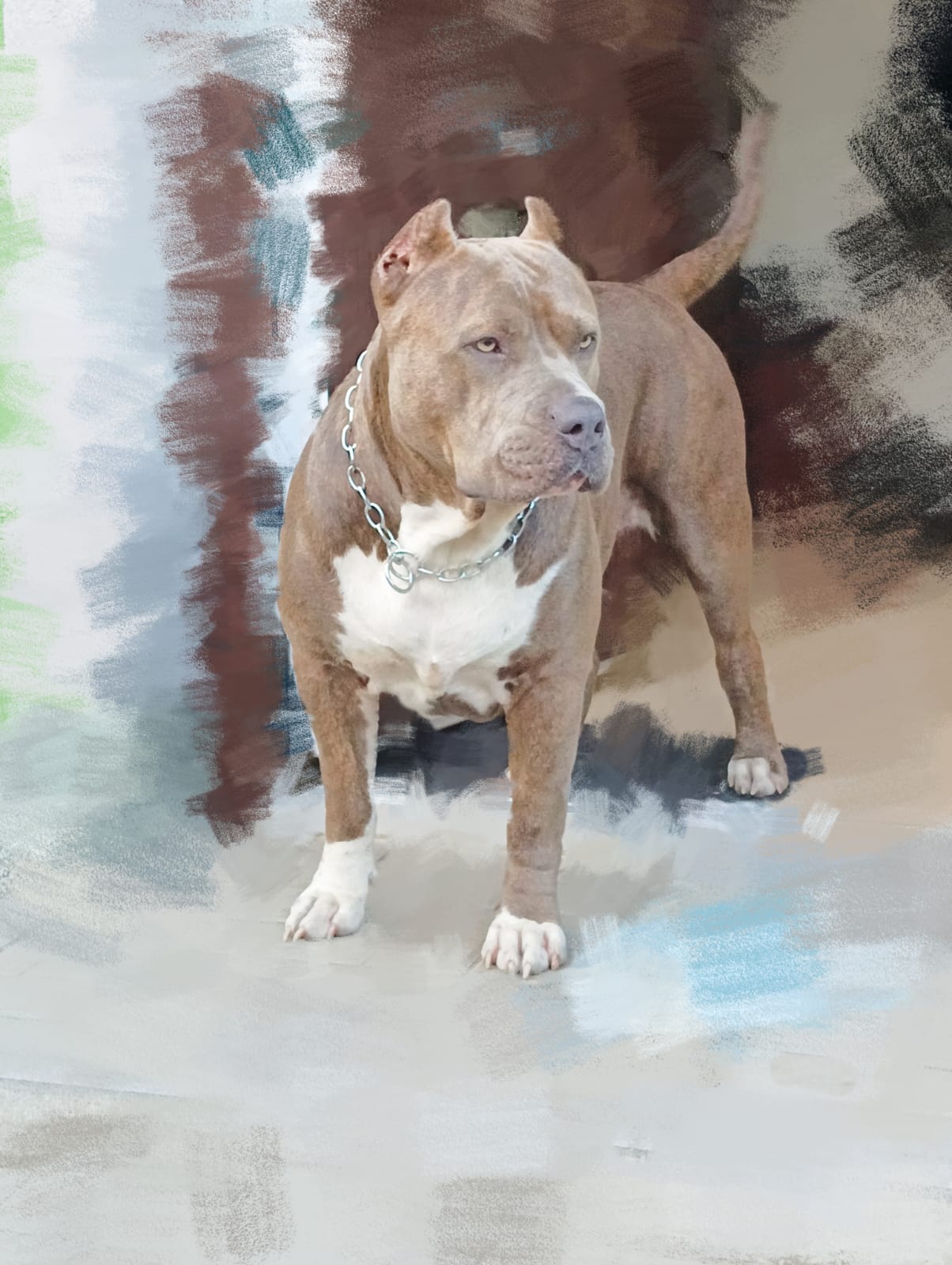 Dog Featured Image