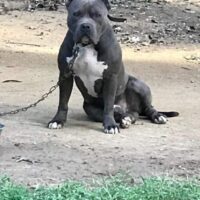 Killer G justice