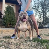 The Bigger The Better Bullies Axl Rose