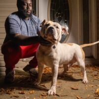 Bigsteppa bulls Benny