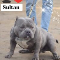 Atom aka sultan