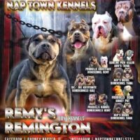 Bone kennels Remus Remington of ntk