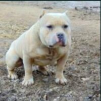 BETTERBULLYS JAY TELLER#