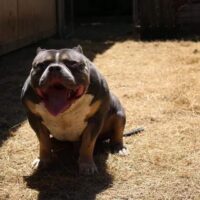 SWEETS#