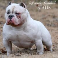 SELFMADE GOTTILINES STATIK#