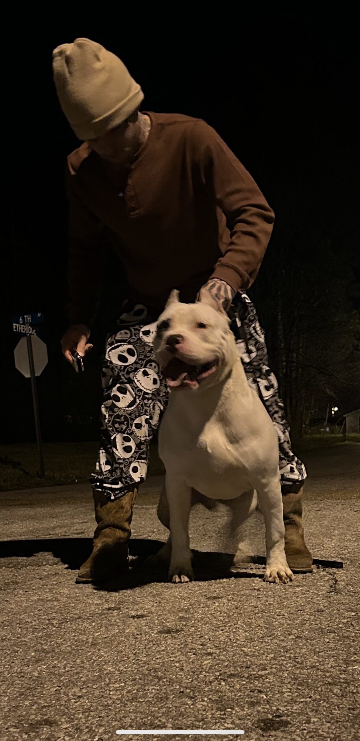 Dog Featured Image