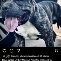 ATX Monster Pits Magnus Almighty