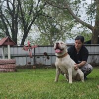 Trucking bully kennels Legend