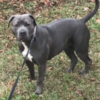 NBK’s Nala