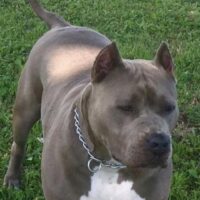 PHK Zena Rose