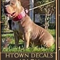 Htown Decals Arlon