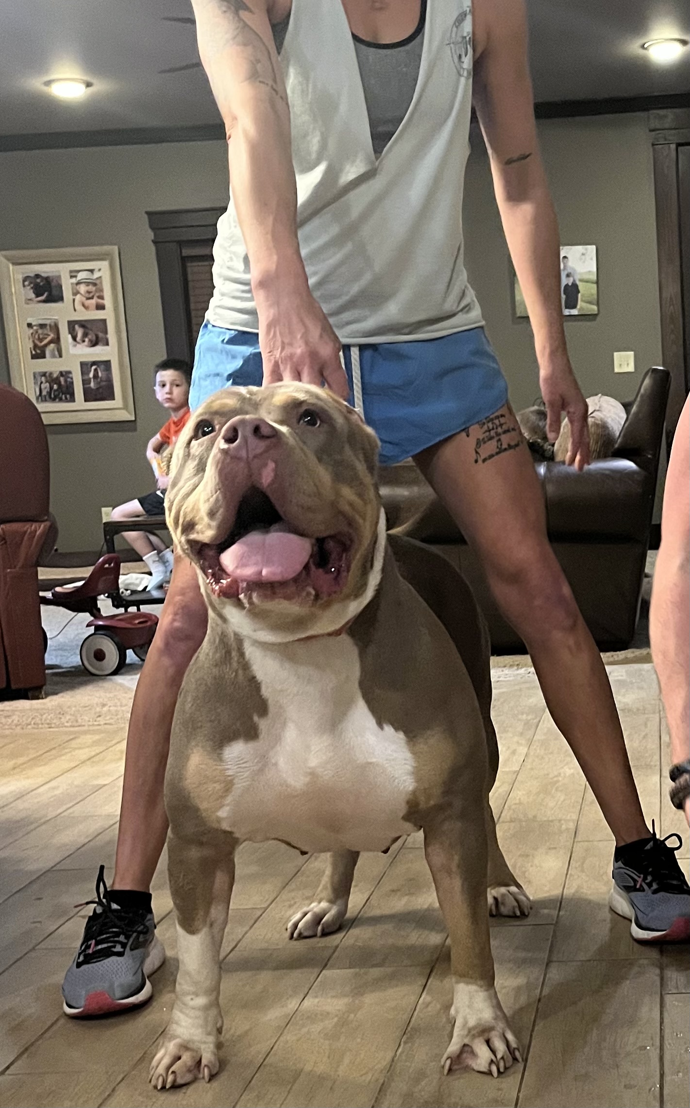 Dog Featured Image