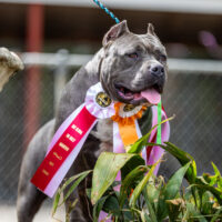 Bully Pride Productions Chyna