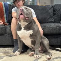 WRMB’s diesel