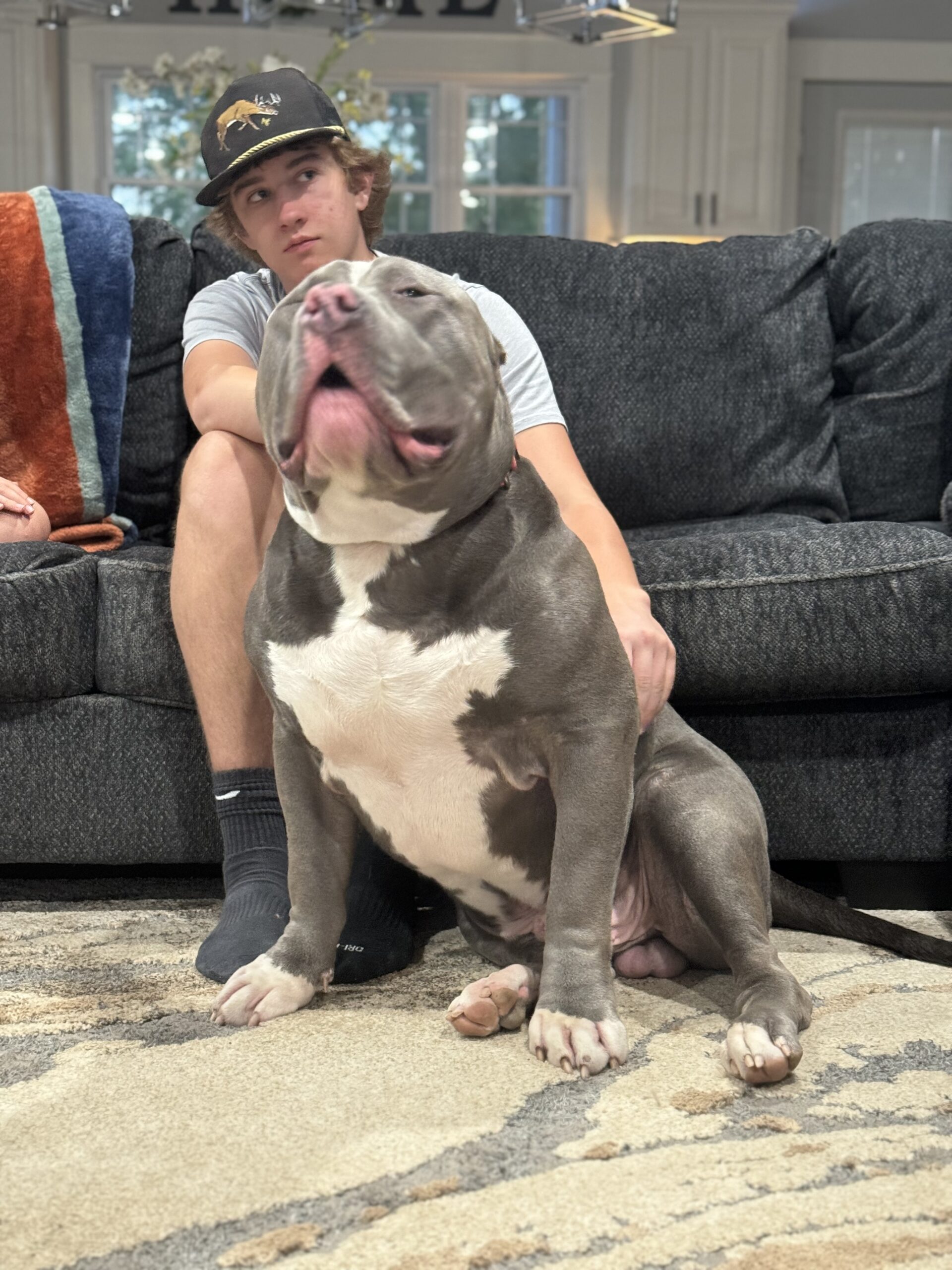 Dog Featured Image