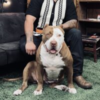 XXXCLUSIVE XOCHI NEGRETE