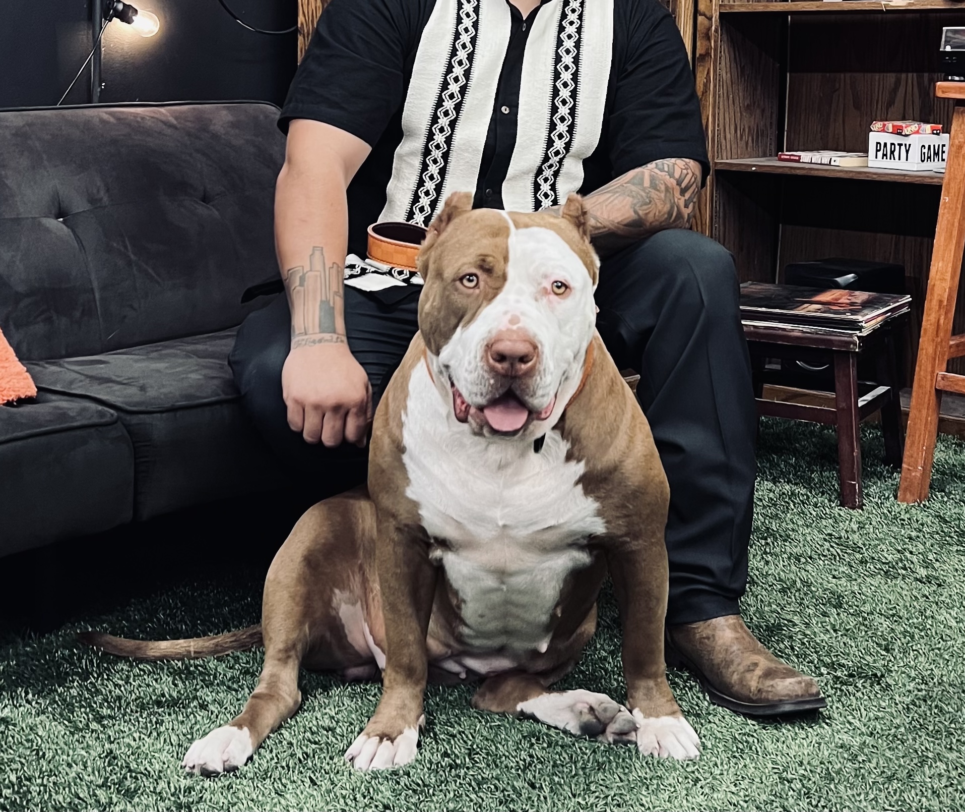 Dog Featured Image