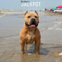 Medina’s Jackpot