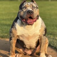 Lolo’s Acadia of Buffalo Bayou