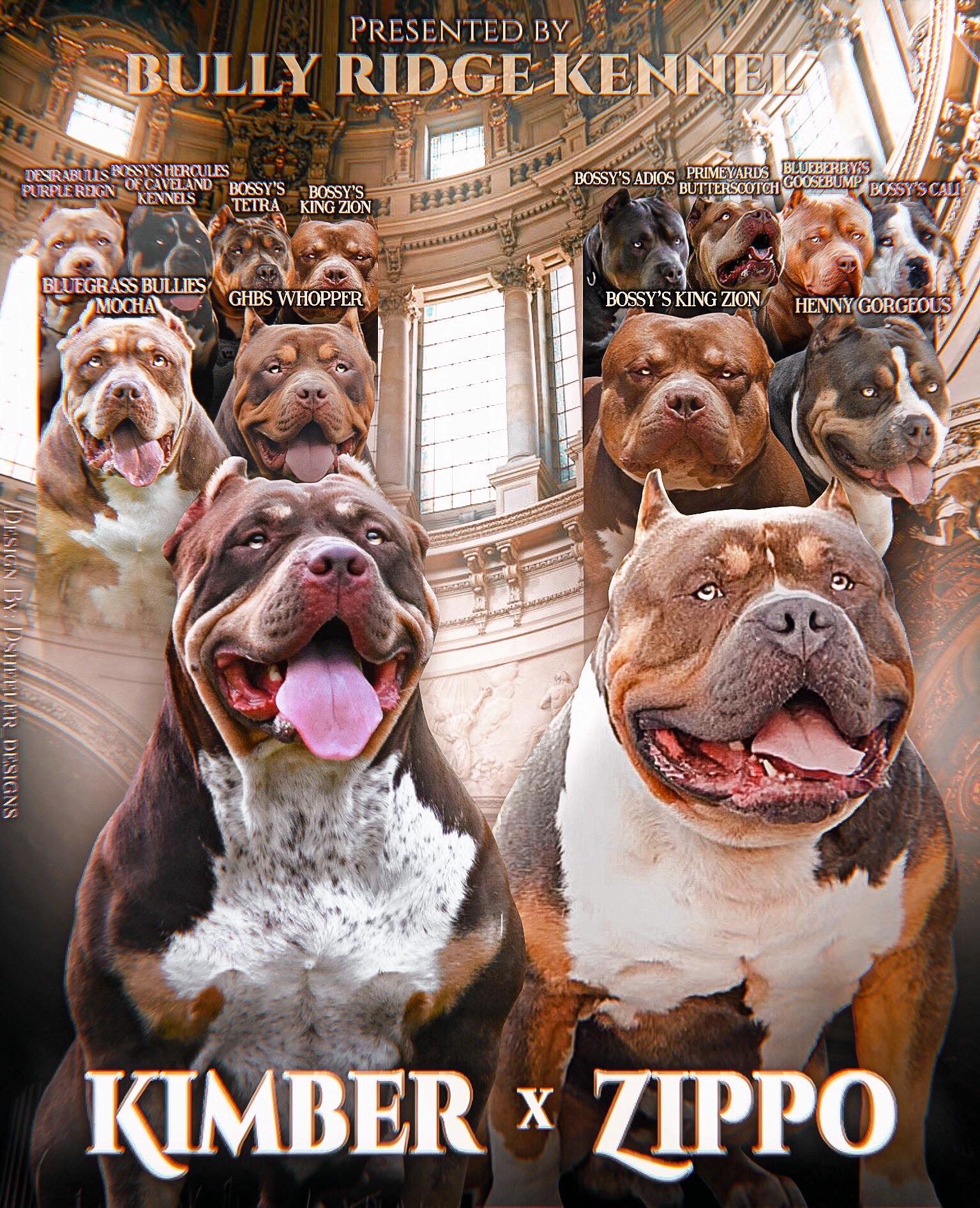 Dog Featured Image