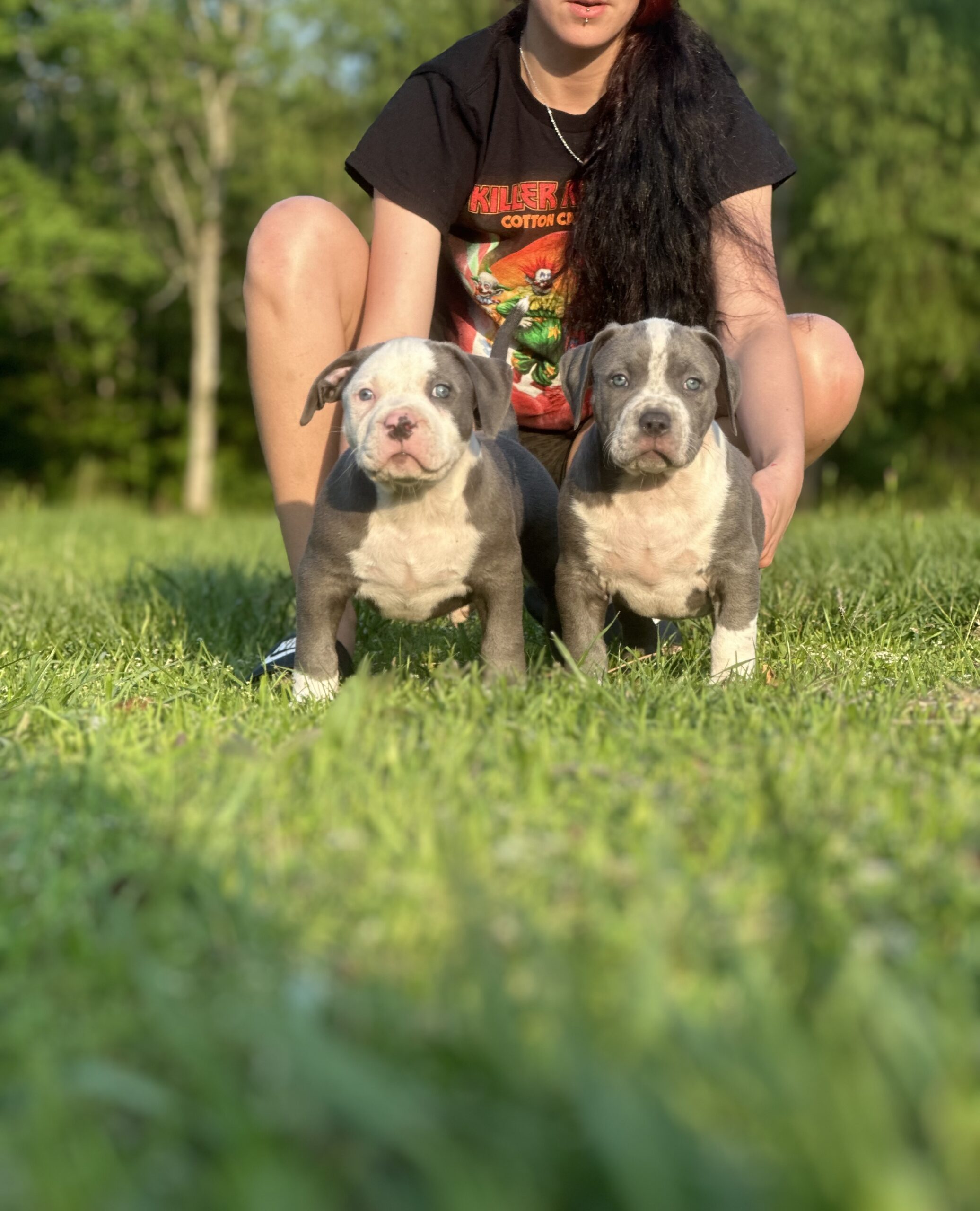 Dog Featured Image