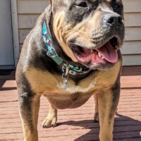 RVXB Ms. Marley
