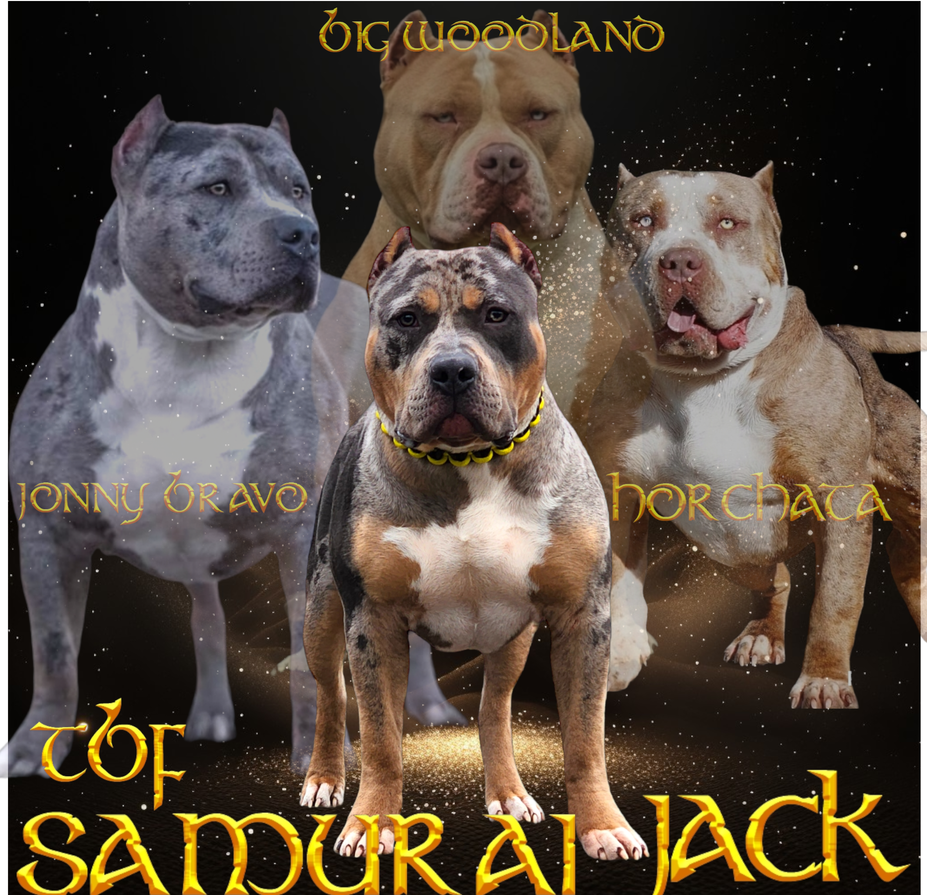 Dog Featured Image