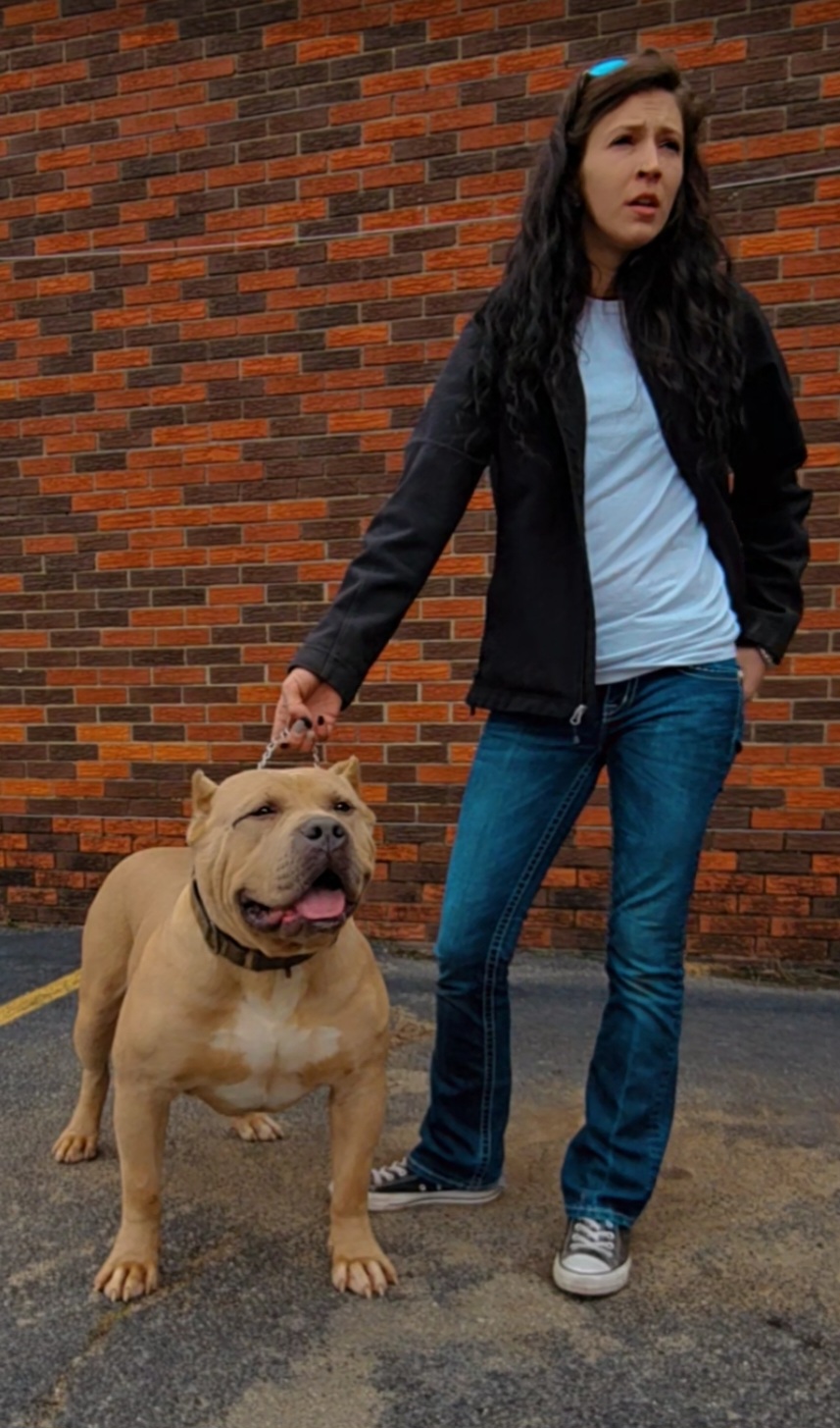 Dog Featured Image