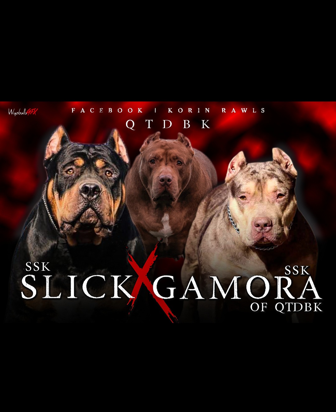 Dog Featured Image