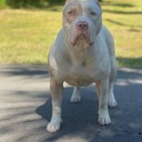 MSPB’S Echo