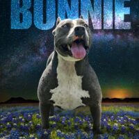 Perdido Key Bullies Bonnie
