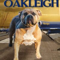 Perdido Key Bullies Oakleigh
