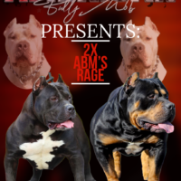 ABM’s Grizzly X ABM’s Afeni