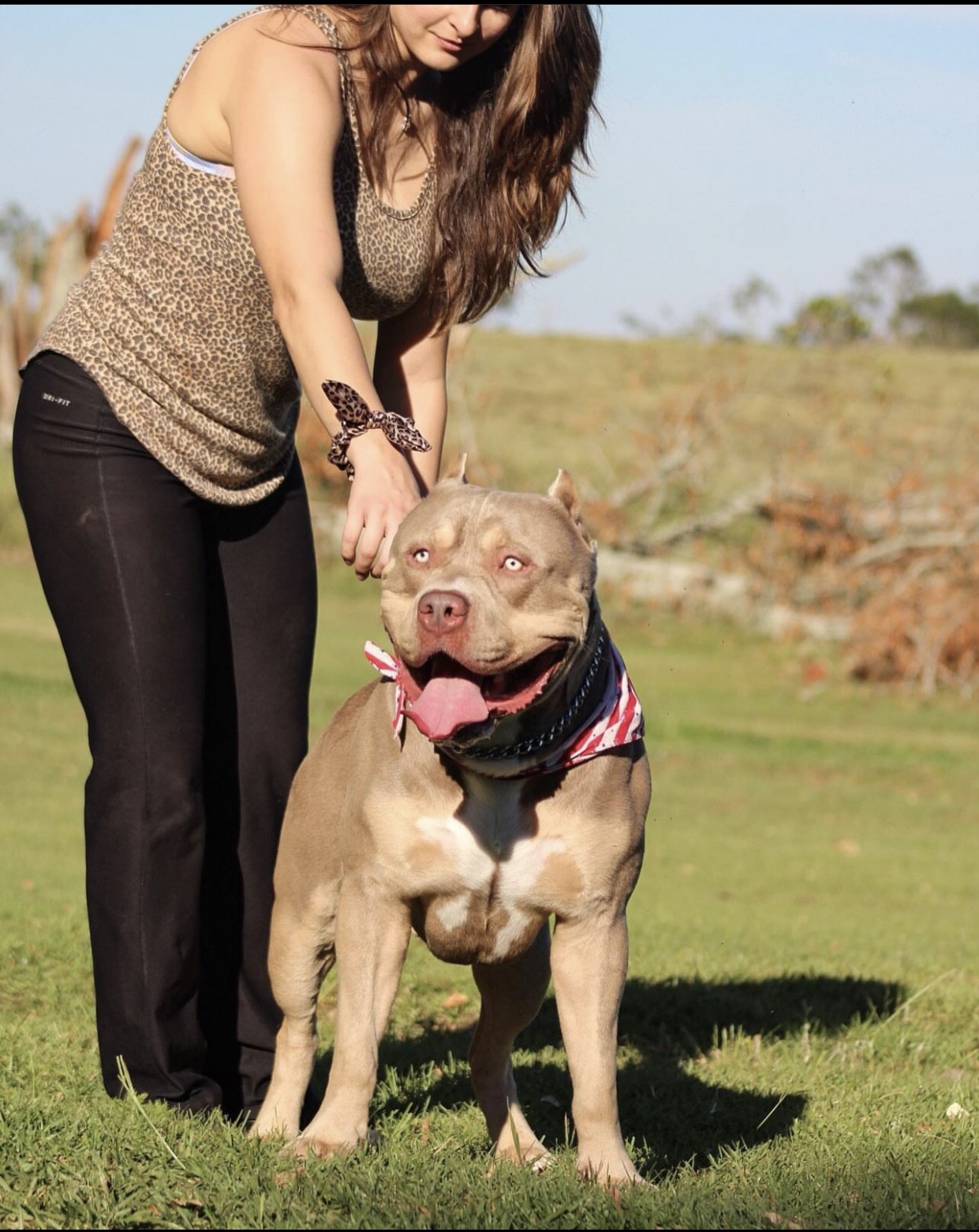 Dog Featured Image