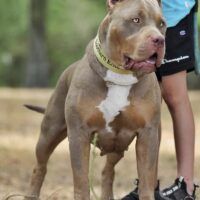 Southern Elite’s Lila