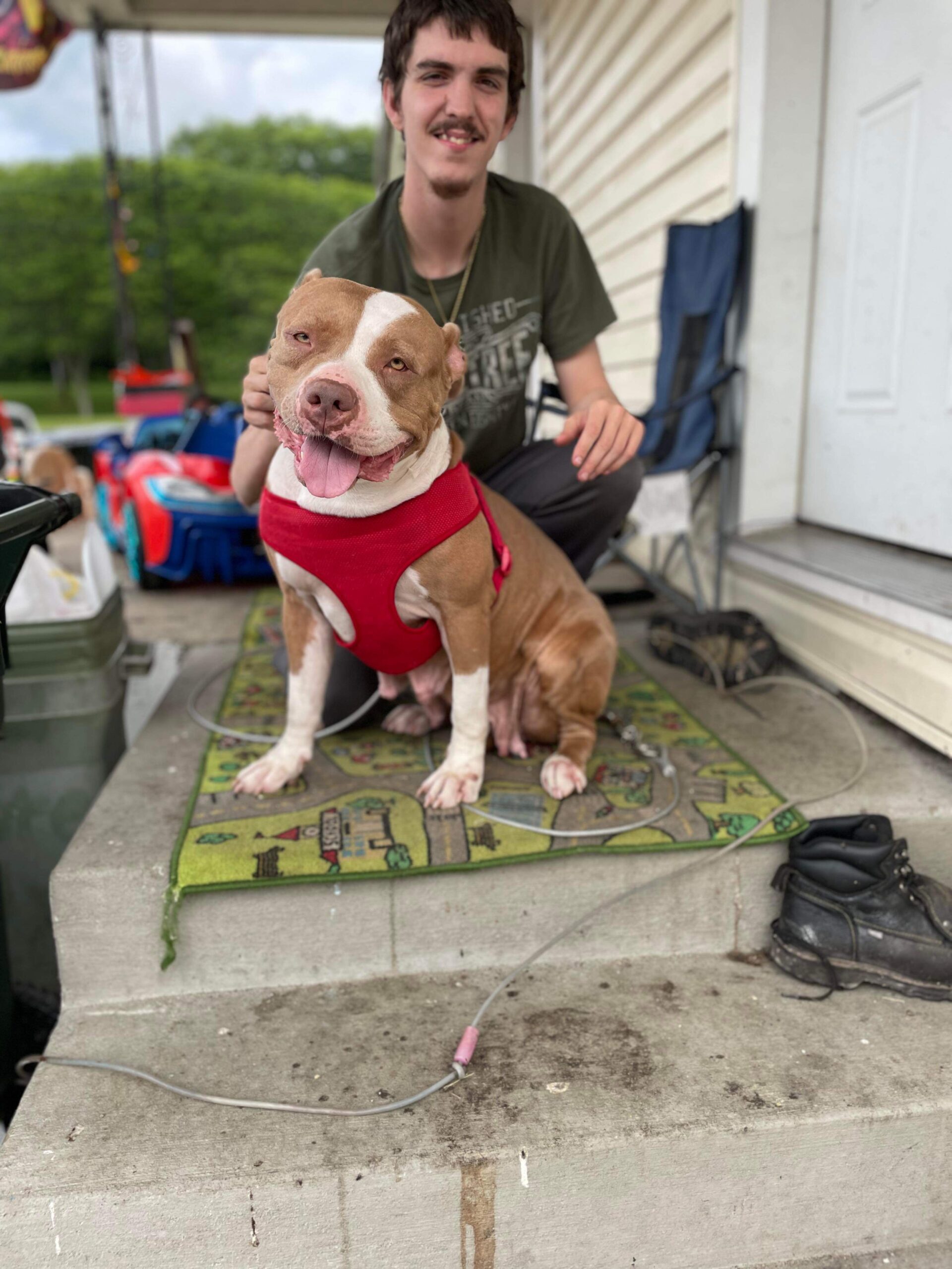 Dog Featured Image