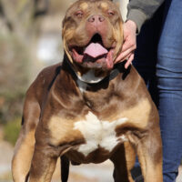 CaBulldog’s Pablo Escobar