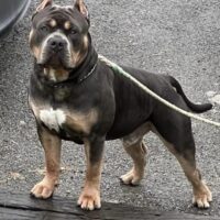 Pway’s Kilo