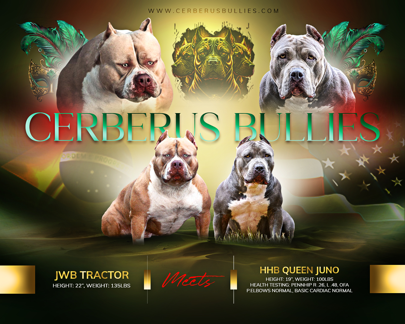 Dog Featured Image