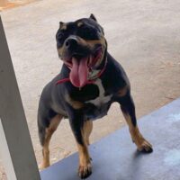‘ROXY’