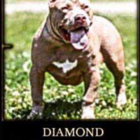 Diamond Chanel