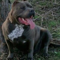 SIKA’S ROKA