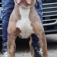 Odin the future
