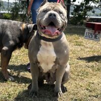 BGTB Pearl Lynn