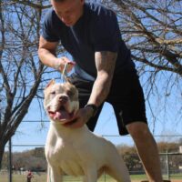Trunksline Bullies Luna