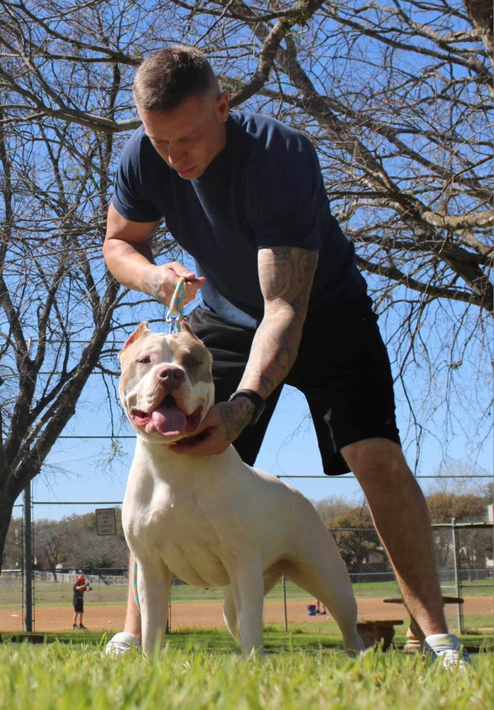 Dog Featured Image