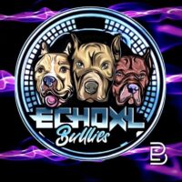ROYAL ❌ Echo